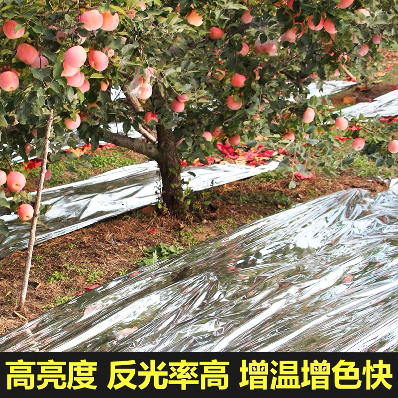 平凉市农用薄膜果树反光膜 - 厂家